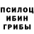 Галлюциногенные грибы Magic Shrooms Asken Nyssanow