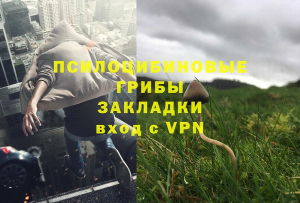 шишки Алексеевка