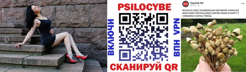 закладка  omg ссылки  Псилоцибиновые грибы прущие грибы  Йошкар-Ола 